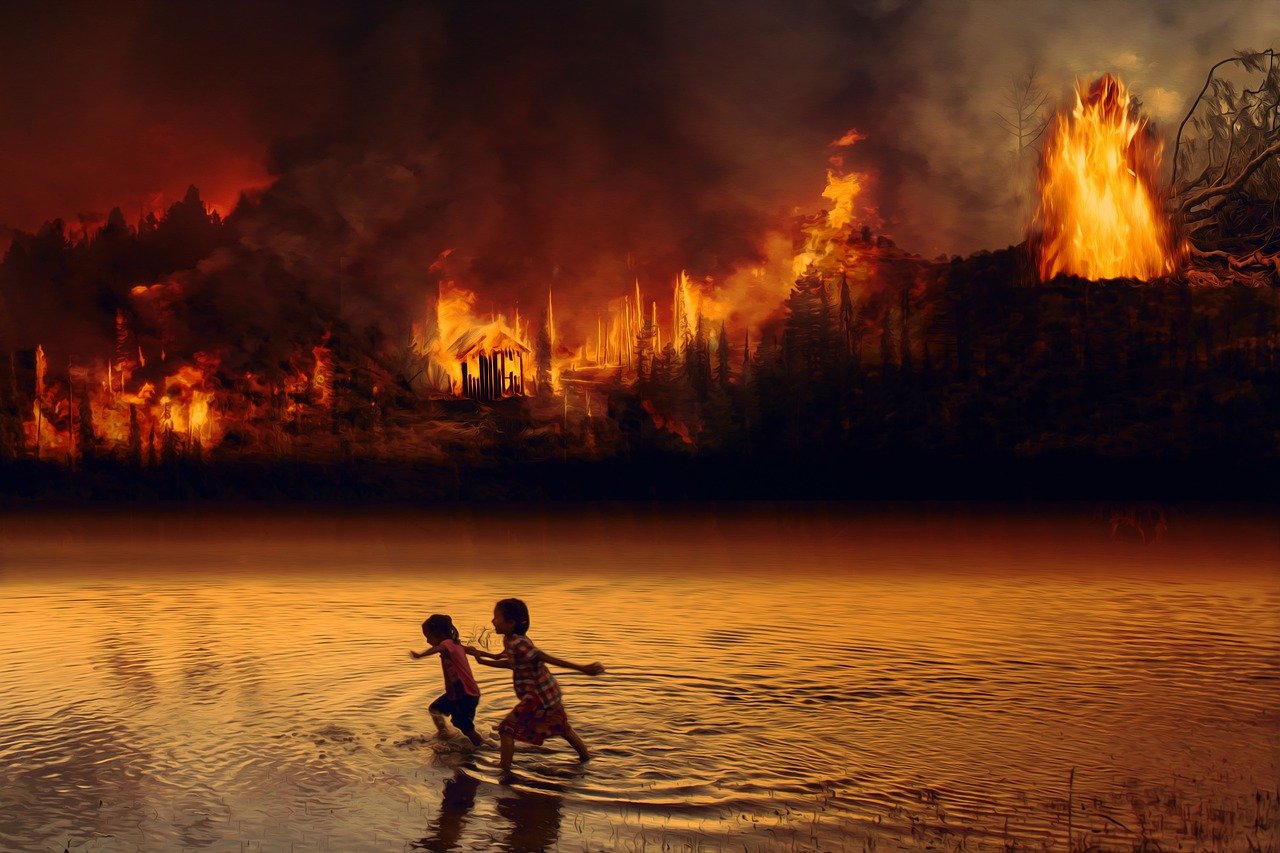 You are currently viewing Regenwald brennt in Brasilien – tausende Feuer wüten gleichzeitig